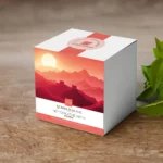 04-Infusion nettoyagethé -face 04